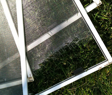 repair-window-screen